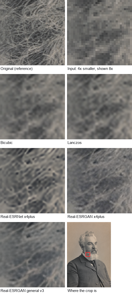 Crops of the same region of the A. G. Bell (c. 1895) photo: the original, the 4x-reduced input, and the outputs of bicubic, Lanczos, Real-ESRNet x4plus, Real-ESRGAN x4plus and Real-ESRGAN general v3