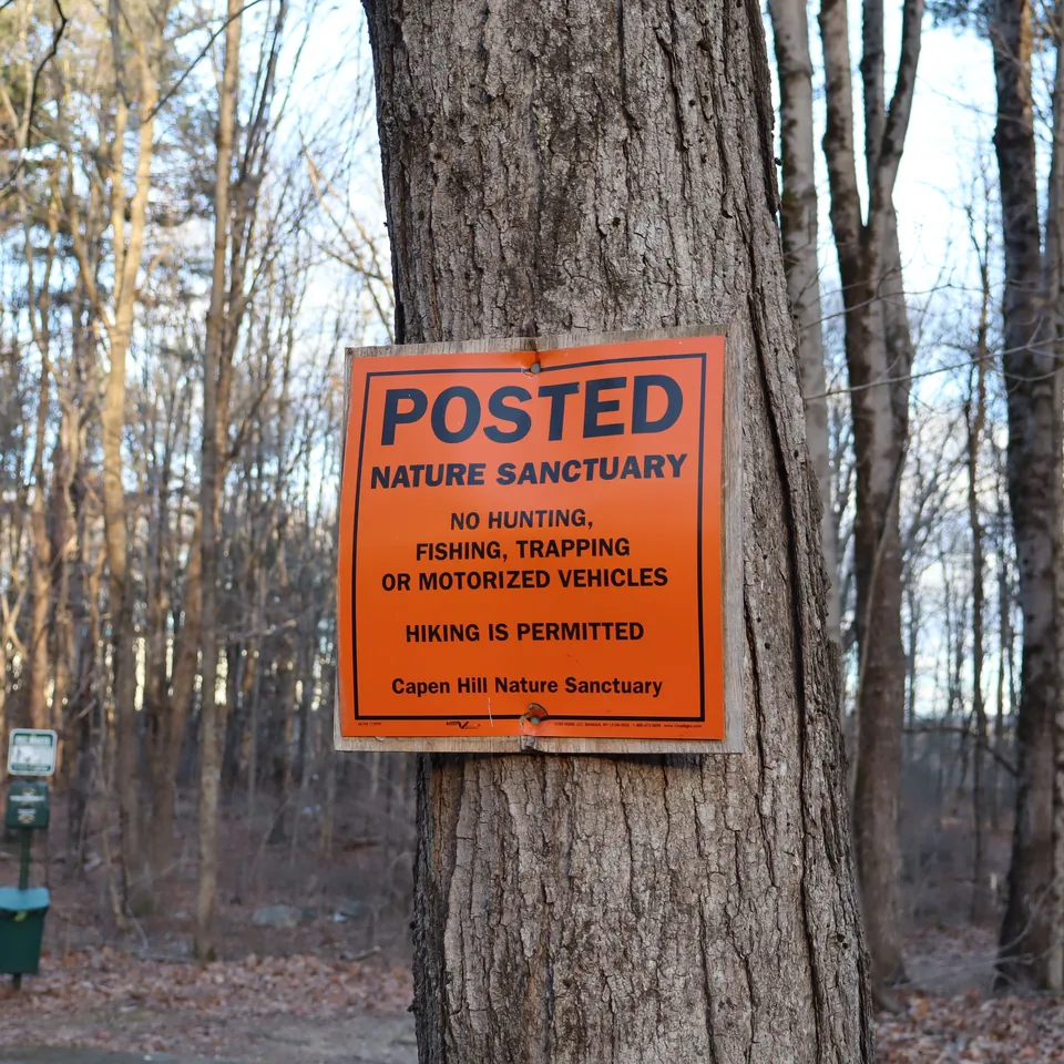 An orange Posted Nature Sanctuary sign nailed to a tree trunk in a bare spring forest